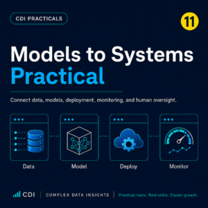 Models to Systems Practical